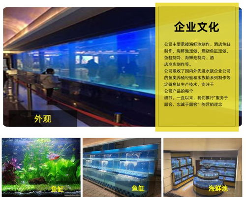 武汉欣玺汇商贸公司 海鲜池鱼缸定制 新洲海鲜池